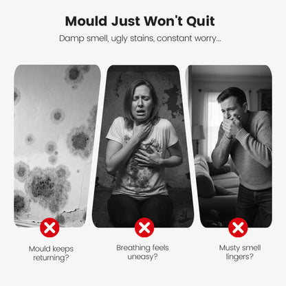 ⏰🔥Final 1-Hour Special！🔥Highly Effective Mould Removal Spray - Prevents Mould Regrowth.✅Save your and your family's health🧑‍⚕️
